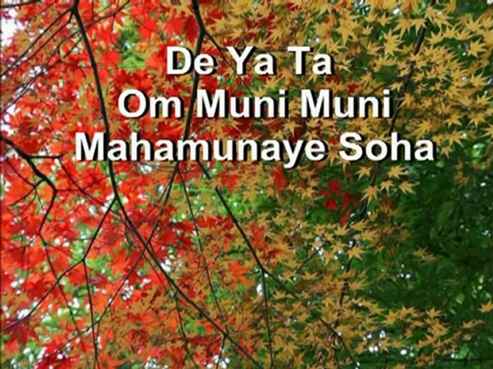 宇宙之音：釋迦牟尼佛心咒  南卓仁波切 第八世