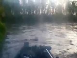 USA - Il fiume invaso dai coccodrilli