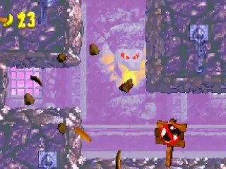 Donkey Kong Country 2 GBA (Part 20)