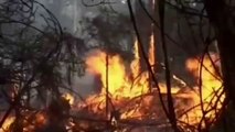 Georgia - Incendi nei boschi di Borjomi, nei pressi di Tbilisi
