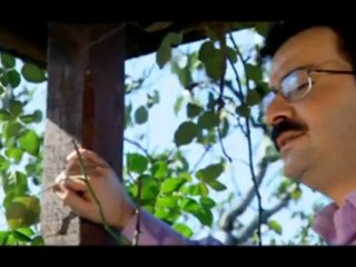 Atilla Meriç - Bul Güzel