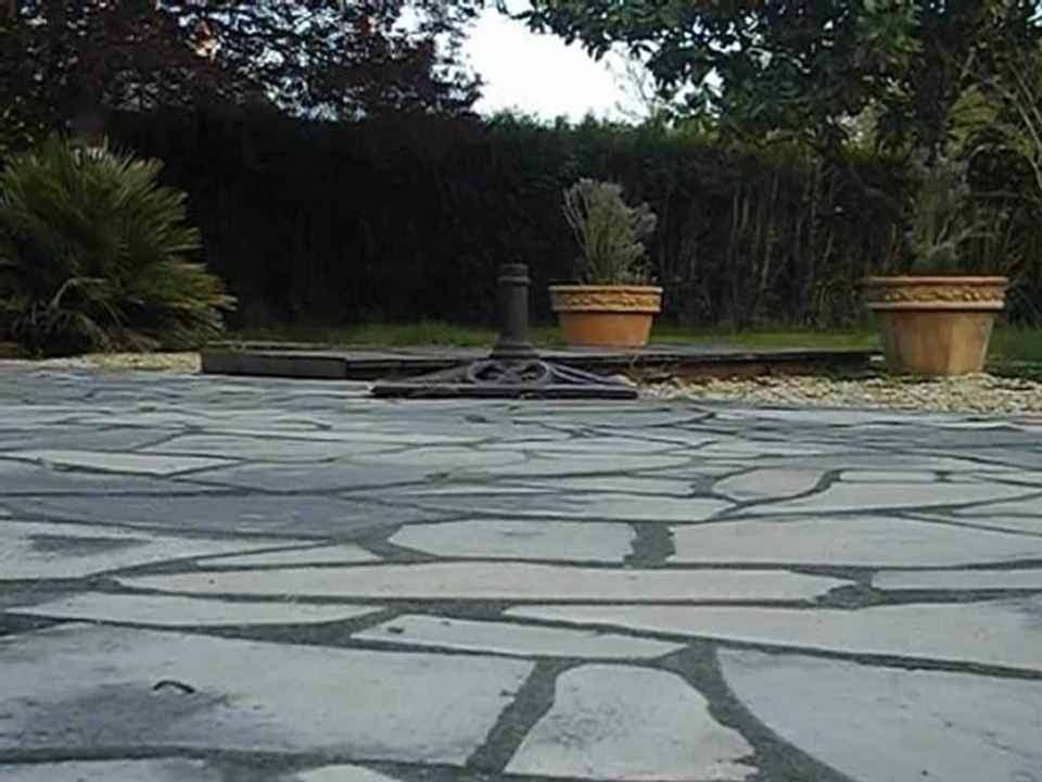 skate 1