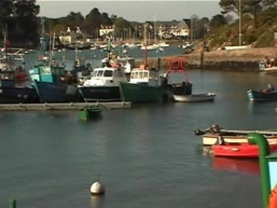 Le Poulpe Breton