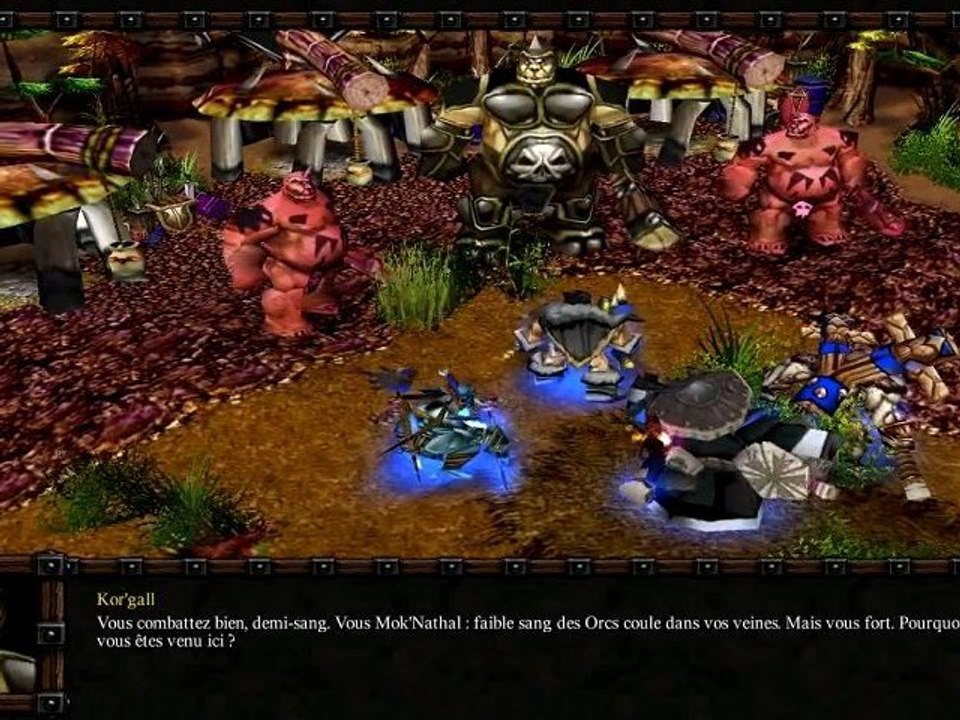 Warcraft 3 FZT HD - Bonus 10 - Le Clan Stonemaul