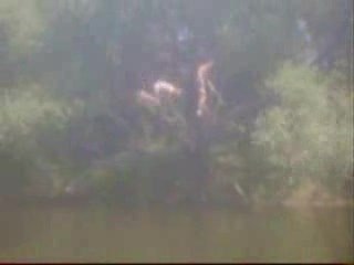 Les Abrutis de la Gym