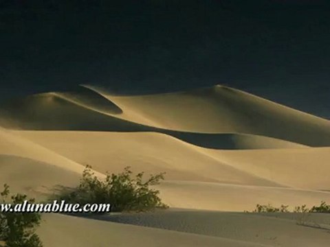 HD Stock Video - Dunes clip 03 - HD Stock Footage