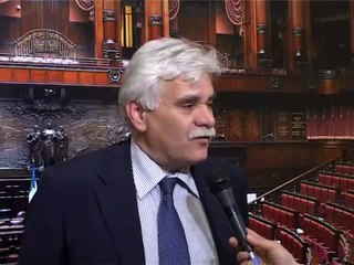 Oliviero (PD) - Relazione Ministro Romano