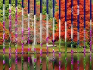 ŞÜKRÜYE TUTKUN-AY KARANLIK