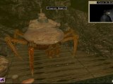 Morrowind [19] Un remède contre la peste
