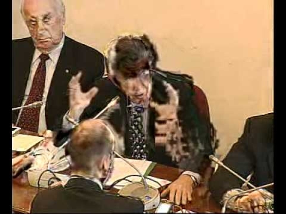 Roma - Audizione del Ministro Andrea Riccardi