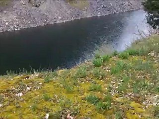 trail de la cote roannaise 2012