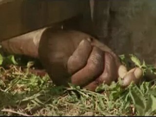 Ethnic violence engulfs town of Naivasha - 28 Jan 08