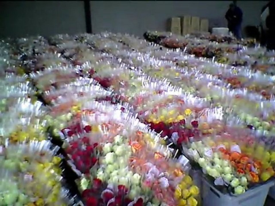 Une Rose Un Espoir 2012 - Emballage des Roses