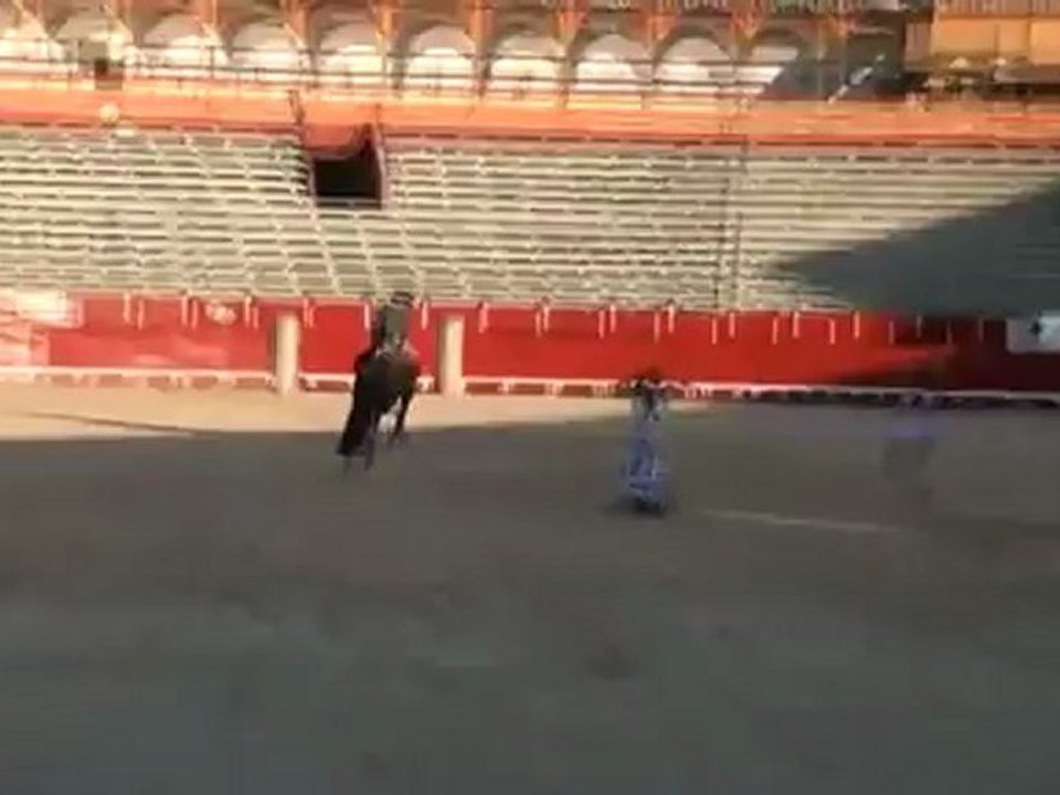 A mi manera a la española