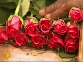 Love blooms in strife-torn Kenya