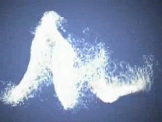 The Notorious I.B.E. 2004 (DVD Previews)