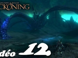 Les Royaumes D'Amalur Age Of Reckoning (12/16)