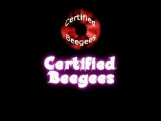 Beegees episode 1