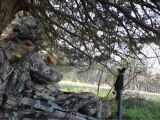 Field & Streamville: Turkey Hunting in Bolivar, MO