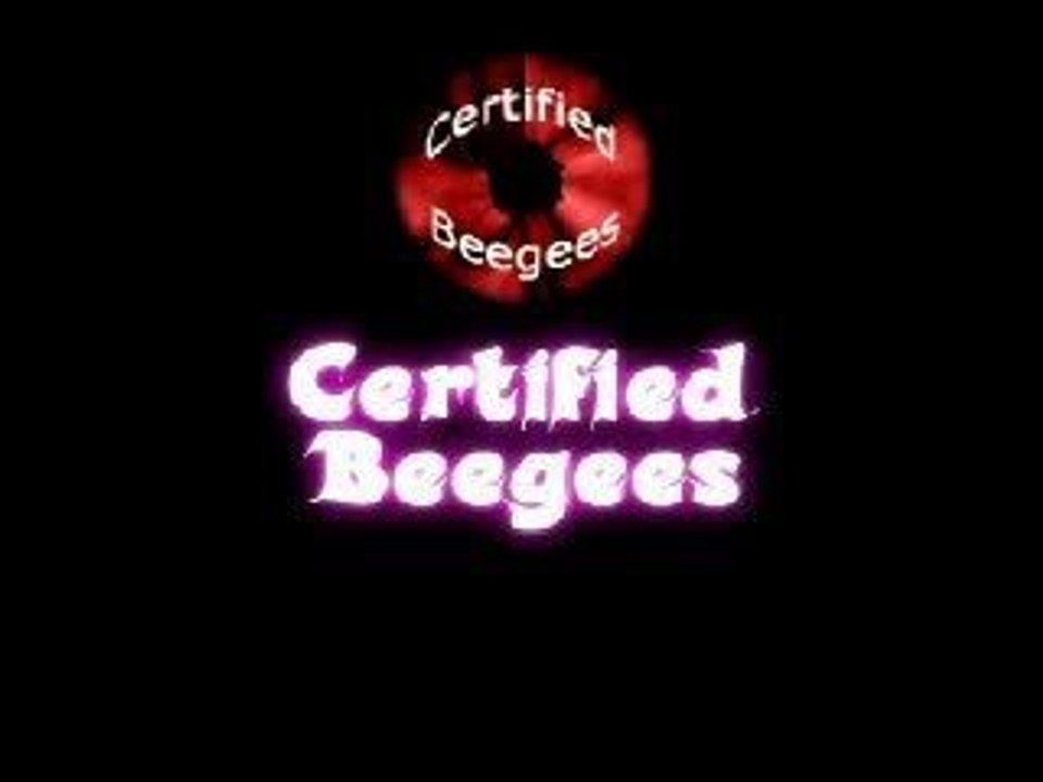 beegees et freerider