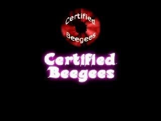 beegees et freerider