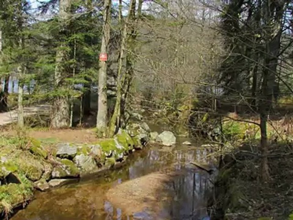 Balade à Gérardmer