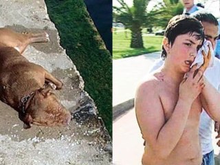 Köpeği Boğdu, Canını Kurtardı