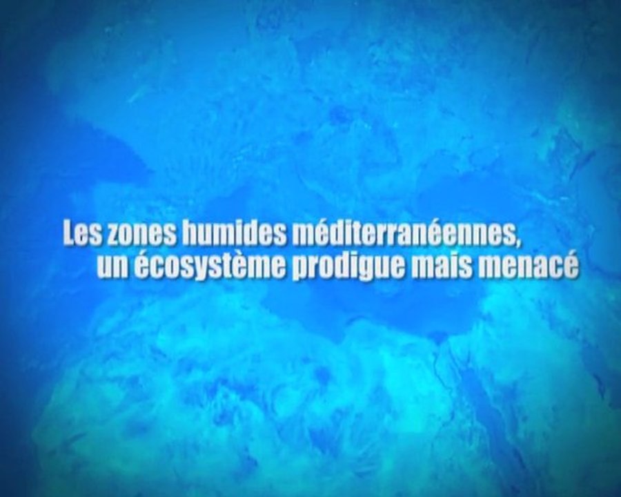 Les zones humides méditerranéennes, un écosystème prodigue mais menacé