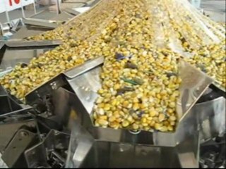 TECHNO D - Multihead weigher for biscuits, cereals, vegetables, fooder, pasta, salad, fish