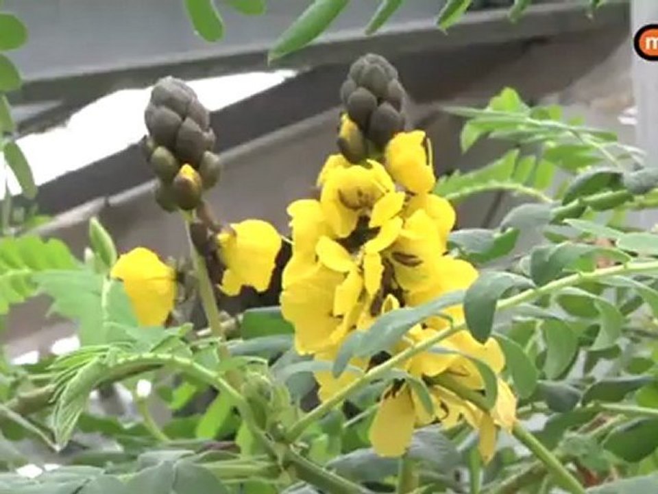 la Rochelle et la biodiversité