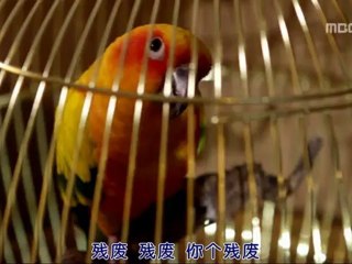 公主護衛 EP9 Cut