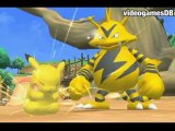 PokéPark Wii : Pikachus großes Abenteuer