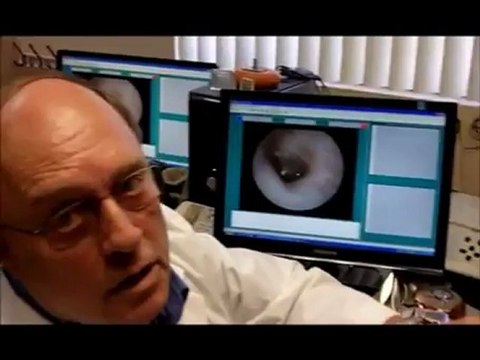 Hearing Exam | Castro Valley CA