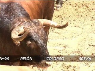 SORTEO TOROS 26 ABRIL