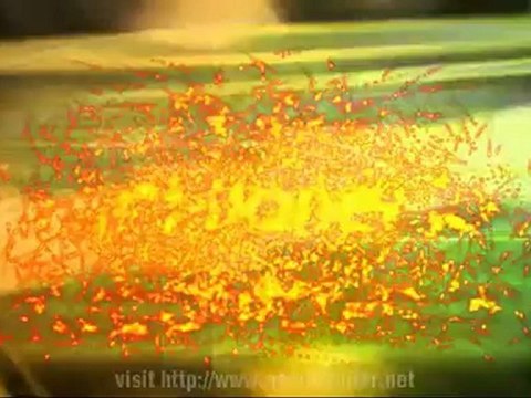 Nurse Practitioner Job Morgantown WV