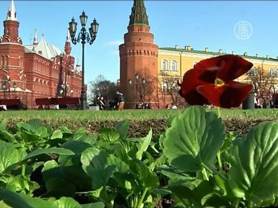 Нужно ли захоронить тело Ленина?