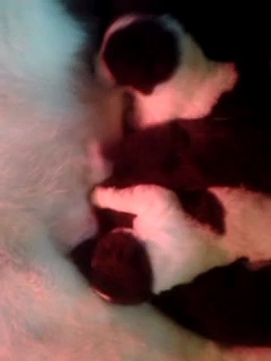 video-2012-04-26-13-18-05