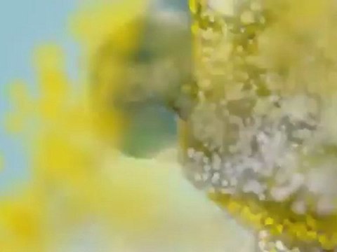 Mobile Marketing Toronto | Get More Customers With Our SMS Marketing Plan