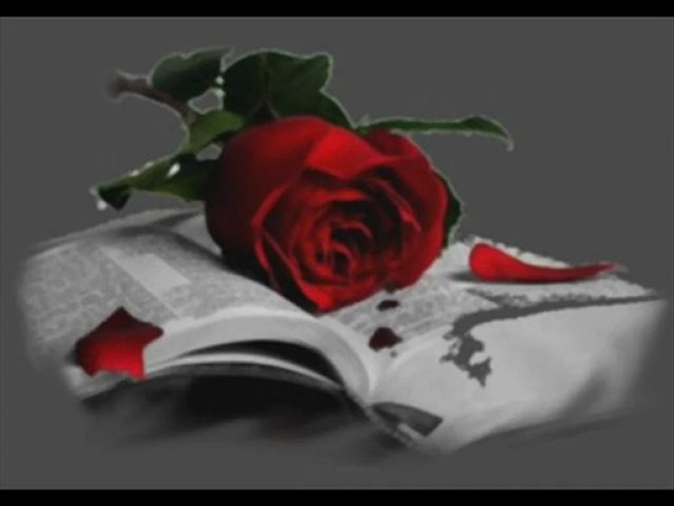 BEN SENİ UZAKLARDA YASAKLARDA SEVDİM GÜLÜMM