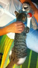 In ricordo della Mamma!!