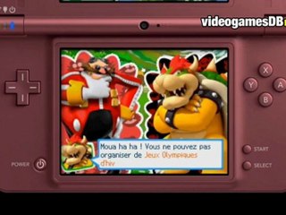 Mario & Sonic aux Jeux Olympiques d'Hiver