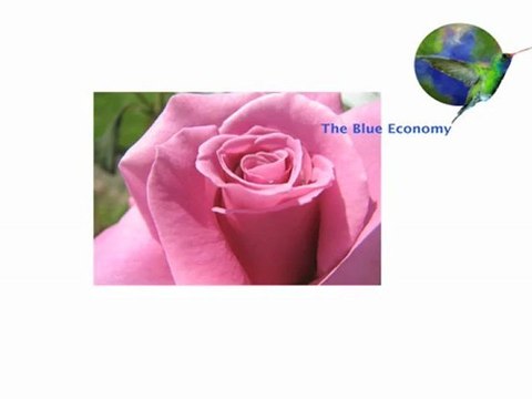 The Blue Economy - Innovation No.13: Bacterial Control blocking Gunter Pauli