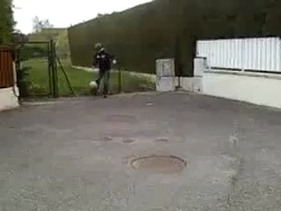 rémi gaillard version rom