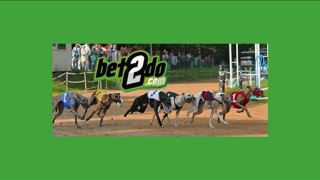 www.bet2do.com | Greyhound racing Australian | greyhound betting australia