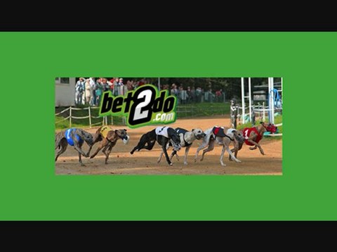 bet2do.com | Greyhound racing Australian | greyhound betting australia