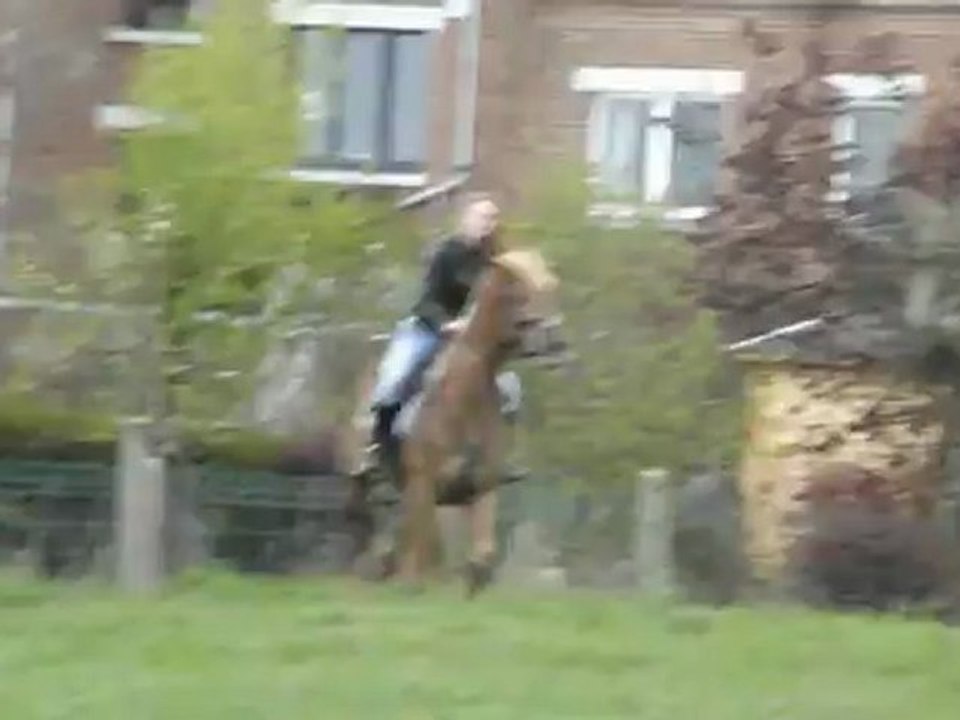 Kaizer dans le beau champ :)