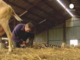 AB sadece çalışan çiftçiye para yardımı yapmayı...