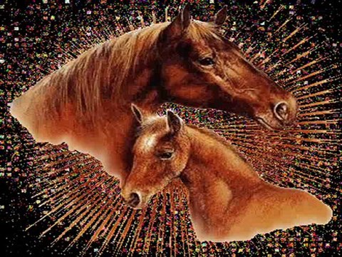 NOS AMIS LES ANIMAUX PAR MIMIE 2159