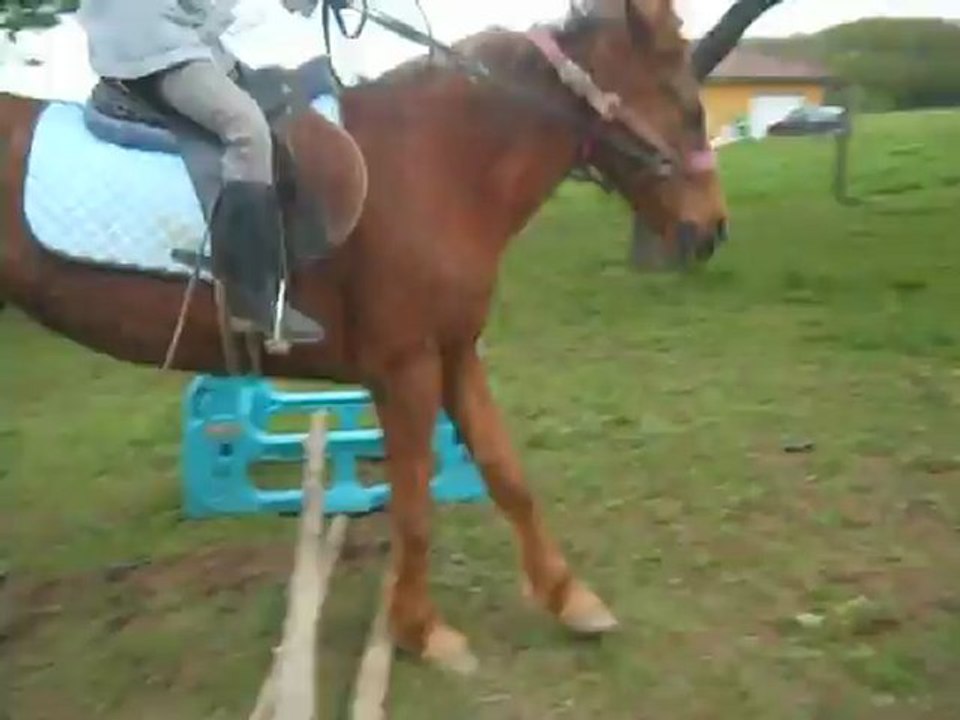 Le début de Cholé saut de 50 cm Avec Sissi☼♥