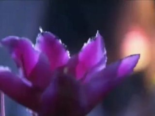 Return of the Condor Heroes - 18